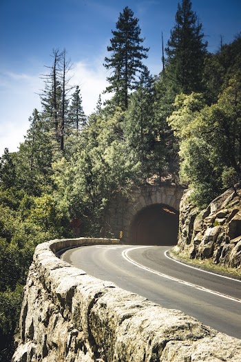 Selective Focus Photo of Curved  Empty Road with a Tunnel