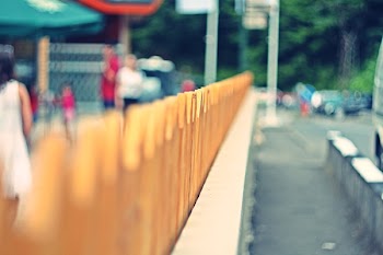 Selective Focus Photo of Fence