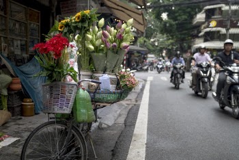 Selective Focus Photo of Flowers on Bicycle