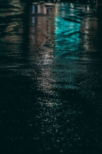 selective focus photo of gray concrete pavement