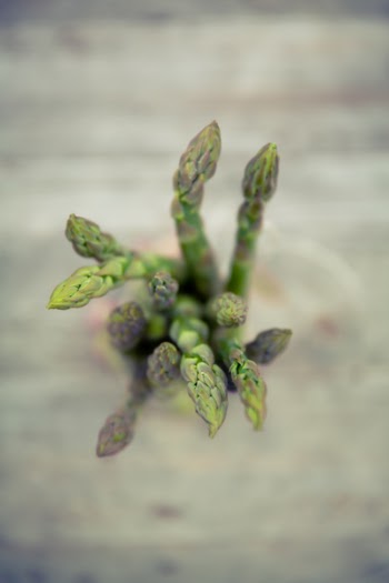 Selective Focus Photo of Green Leaf Plant