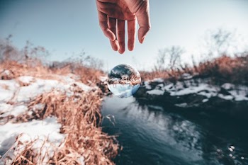 selective focus photo of human hand