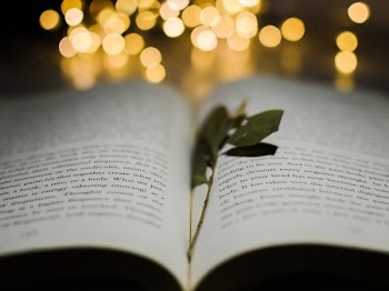 Selective Focus Photo of Leaf On Book