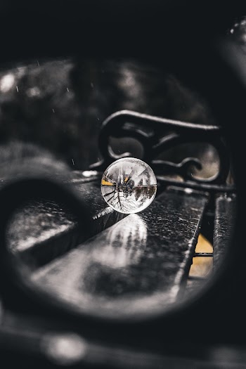 Selective Focus Photo of Lensball On Bench