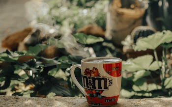 Selective Focus Photo of M&amp;M's Ceramic Mug on Gray Concrete