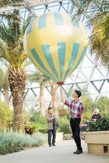 Selective Focus Photo of Man Holding Mini Hot Air Balloon
