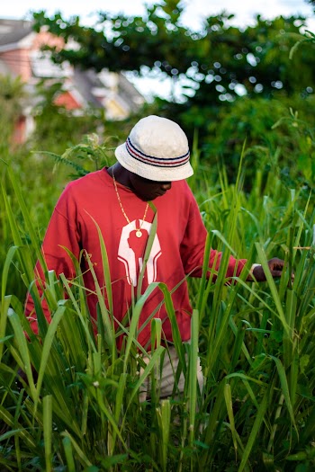 Selective Focus Photo of Man in Bucket Hat and Red Sweatshirt Standing in Green Grass Field Looking Down
