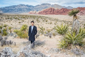 Selective Focus Photo of Man Standing on Near Mountains