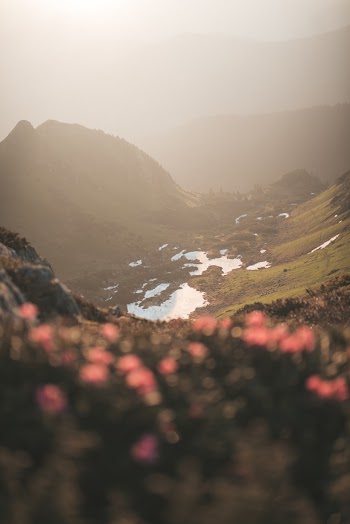 Selective Focus Photo of Mountain