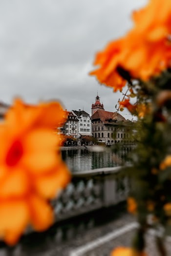 Selective Focus Photo Of Old Building