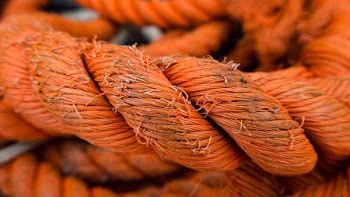 selective focus photo of orange rope