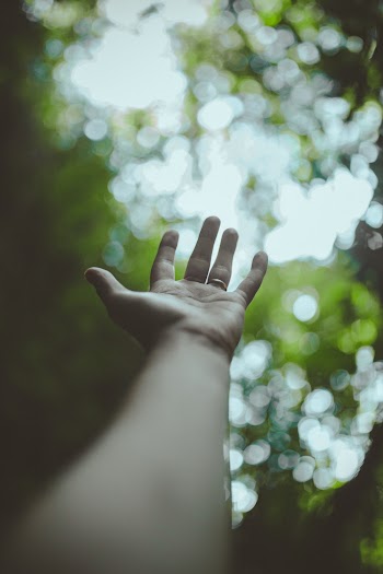 Selective Focus Photo of Person's Left Hand