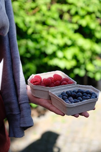 Selective Focus Photo of Person Holding Molded Pulp Containers with Blueberries and Raspberries