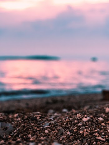 Selective Focus Photo of Rocks