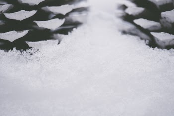 Selective Focus Photo of Snow on Ground