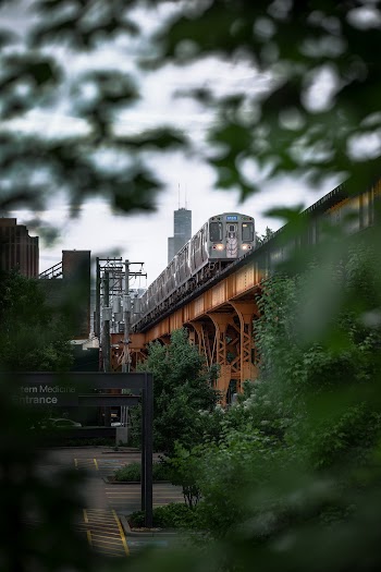 Selective Focus Photo of Train