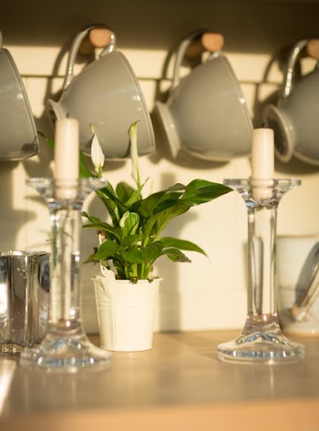 Selective Focus Photo of Two White Taper Candles on Top of Two Clear Glass Taper Candle Holders