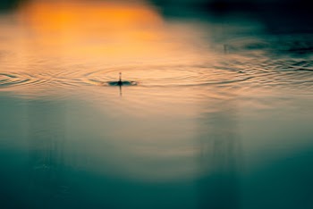 Selective Focus Photo of Water