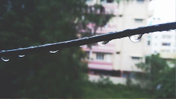 Selective Focus Photo of Water on Black Metal Rod