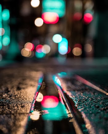 Selective Focus Photo of Wet Ground