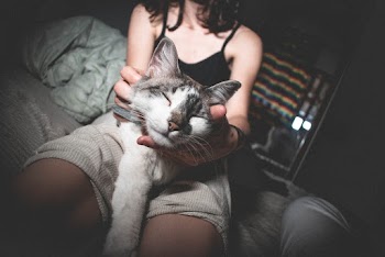 Selective Focus Photo of Woman Holding Cat