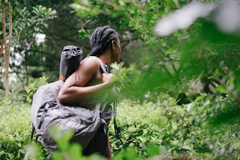 Selective Focus Photo of Woman Near Green Plants