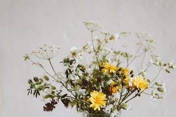 Selective Focus Photo Of Yellow Flowers