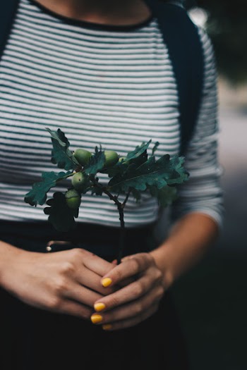 Selective Focus Photograph of Green Plant on Person's Hands