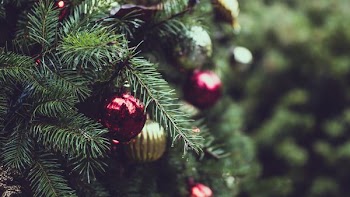 selective focus photograph of red and gold Christmas bauble balls