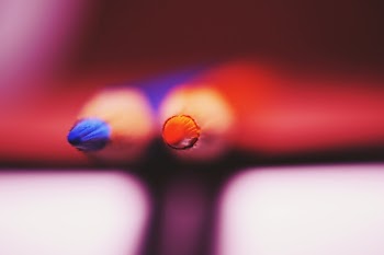 Selective Focus Photograph of Two Blue and Red Color Pencils