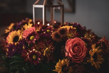 Selective Focus Photography Flowers