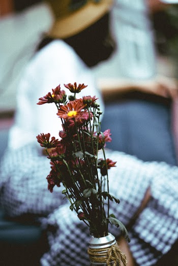 Selective Focus Photography of a Red Petaled Flowers