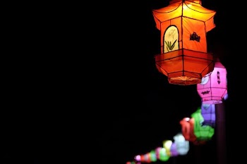 selective focus photography of assorted-color floating lantern lot