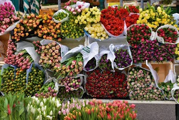 Selective Focus Photography of Assorted Flowers