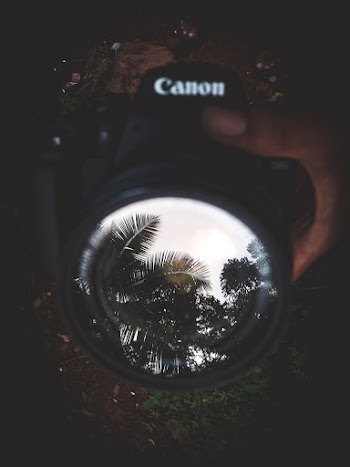 Selective Focus Photography of Black Canon Camera