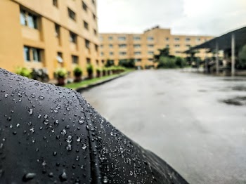 Selective Focus Photography of Black Umbrella With Dew Drops