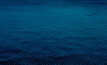 selective focus photography of blue water