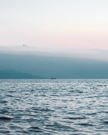 Selective Focus Photography of Body of Water
