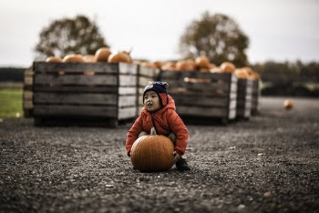 Selective Focus Photography of Boy Carrying Orange Pumpkin