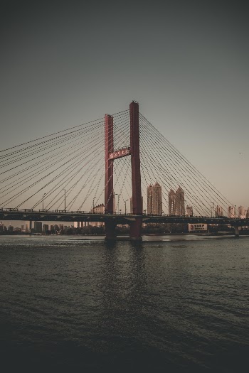 Selective Focus Photography of Bridge