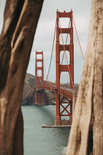 Selective Focus Photography of Brown Metal Bridge