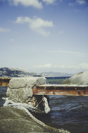 Selective Focus Photography of Brown Metal Bridge Across Large Body of Water
