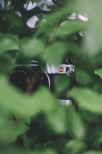 Selective Focus Photography of Camera