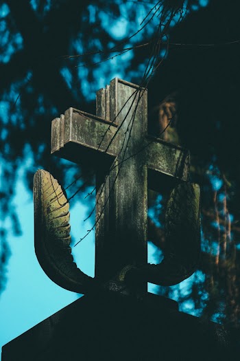 Selective Focus Photography of Cathedral