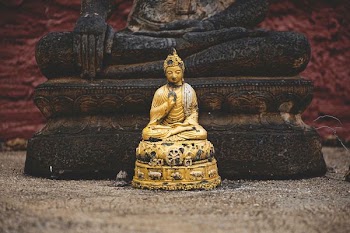 selective focus photography of Dhyana Mudra figurine in front of Bumispharsha Mudra statue