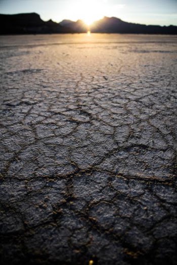 selective focus photography of dry soil