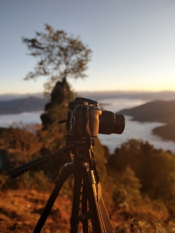 Selective Focus Photography of Dslr Camera on Stand