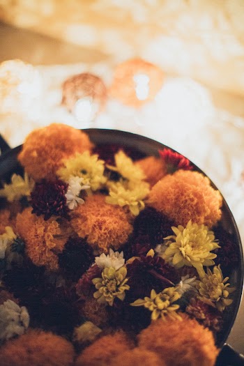Selective Focus Photography of Flowers