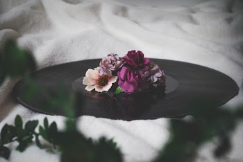 Selective Focus Photography of Flowers On Top of Vinyl Record