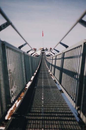 selective focus photography of gray bridge